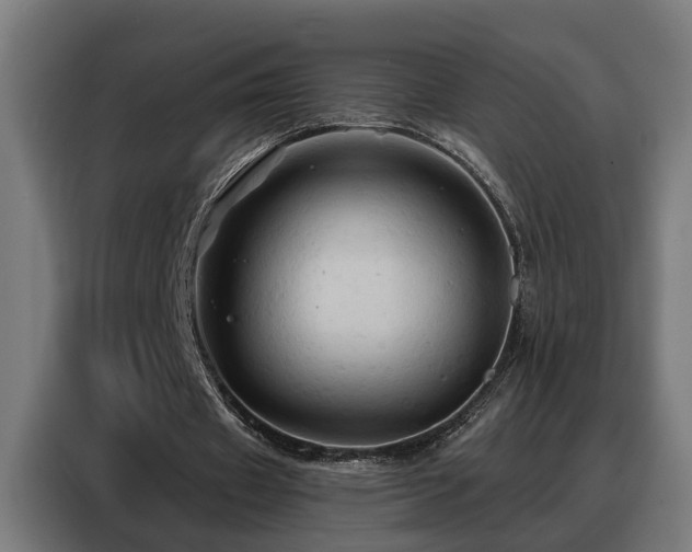 X0000088380433200705221056