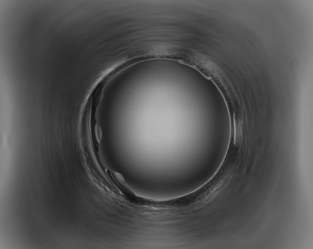 X0000088380435200705221057