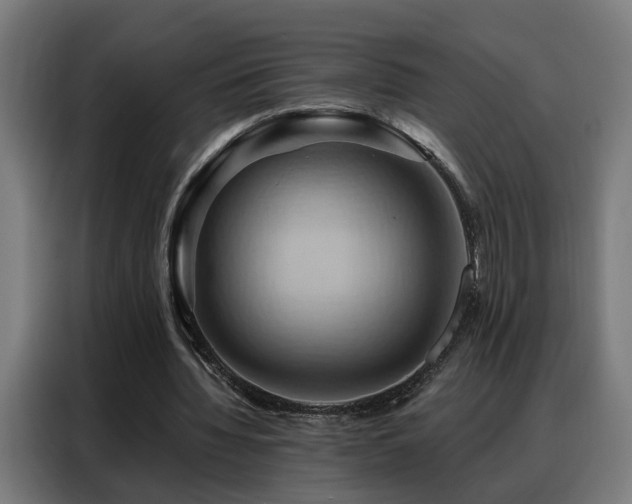 X0000088380436200705221057