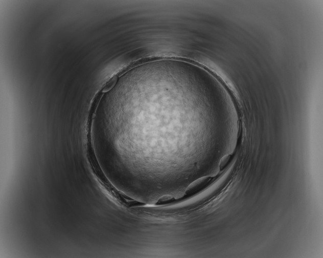 X0000088380437200705221057