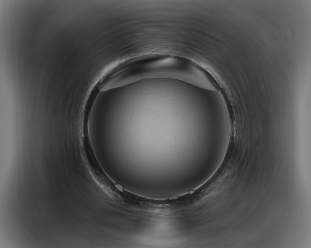 X0000088380438200705221057