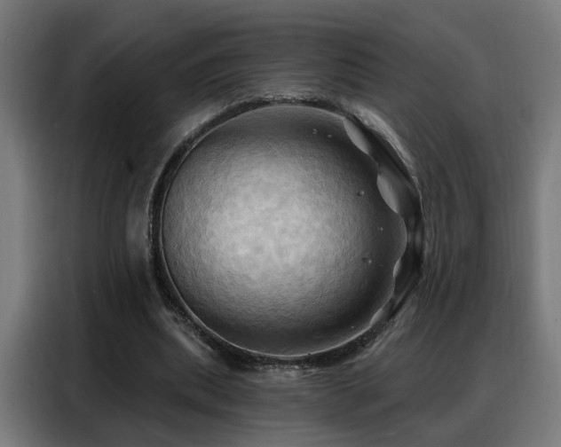 X0000088380439200705221057