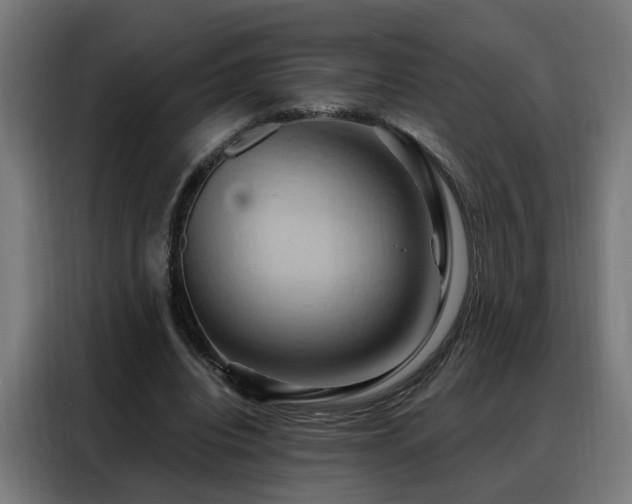 X0000088380440200705221057
