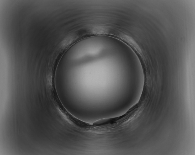 X0000088380441200705221057