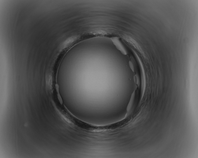 X0000088380444200705221057