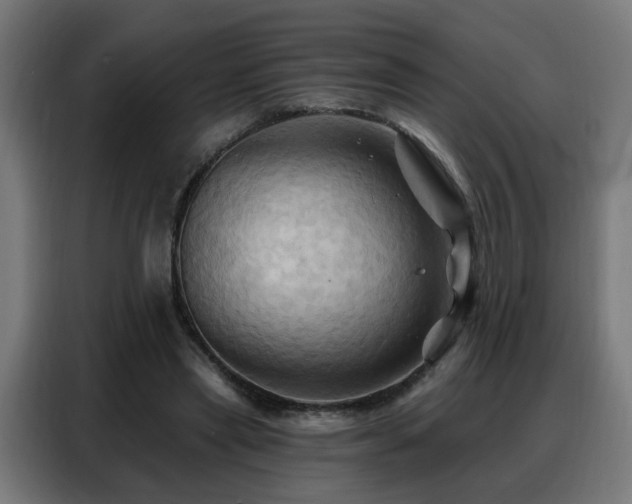 X0000088380445200705221057