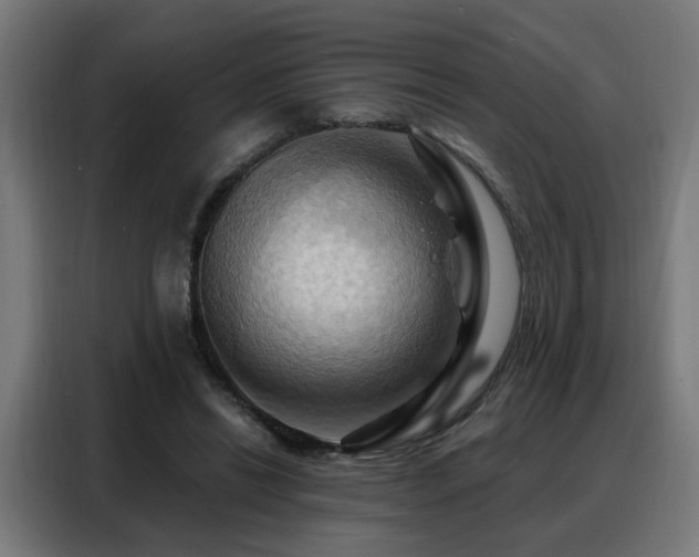 X0000088380446200705221057
