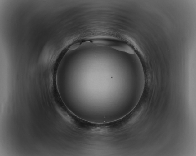 X0000088380447200705221057
