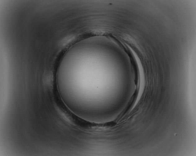 X0000088380448200705221057