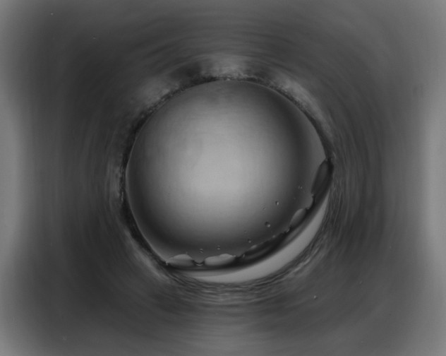 X0000088380449200705221057