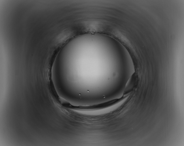 X0000088380450200705221057