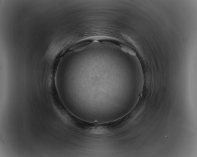 X0000088380451200705221057