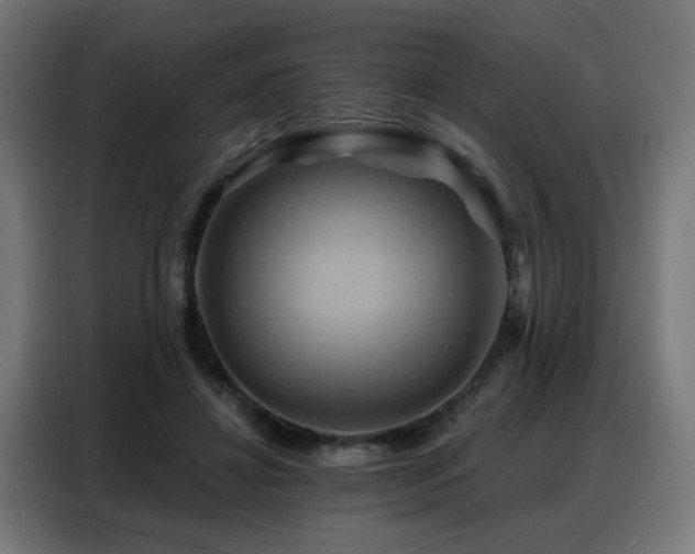 X0000088380452200705221057