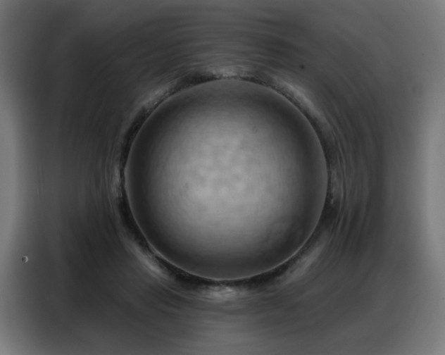 X0000088380453200705221057