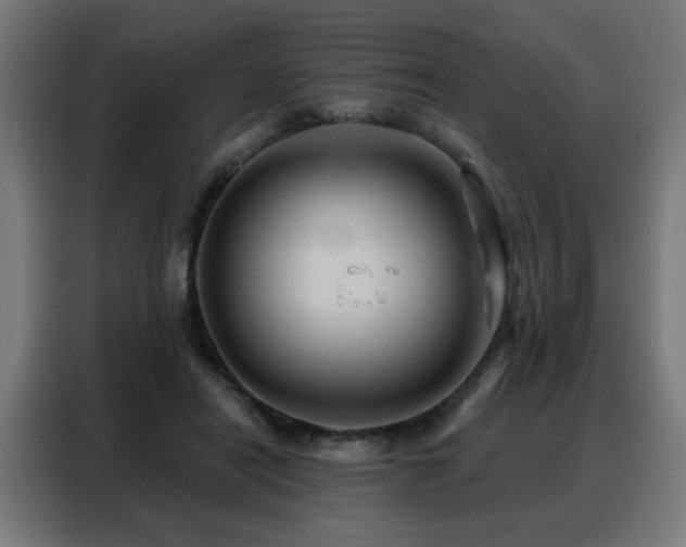 X0000088380454200705221057
