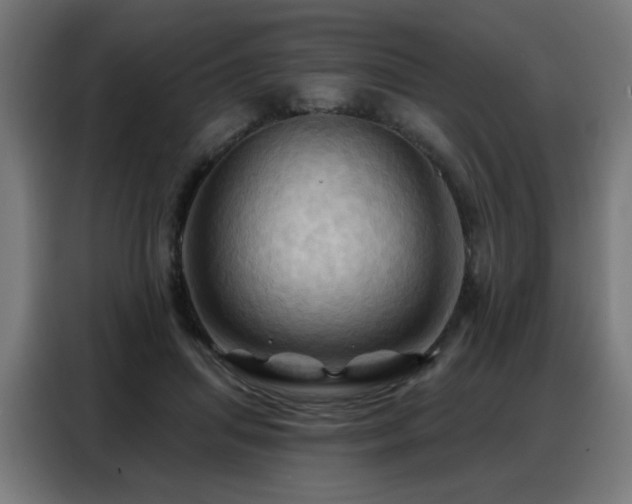 X0000088380455200705221057