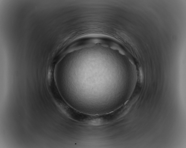 X0000088380456200705221057