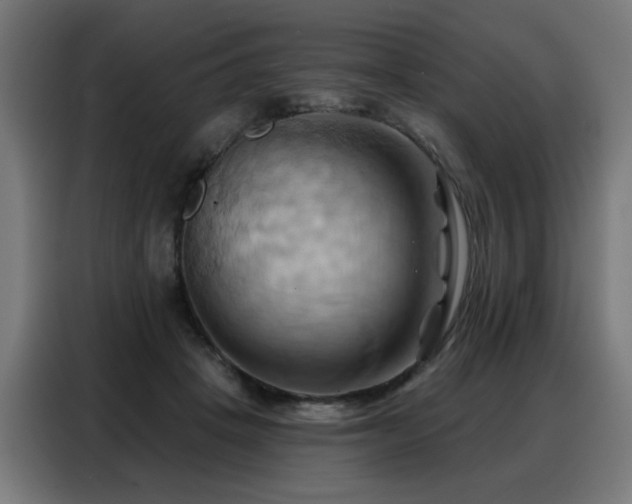 X0000088380457200705221057