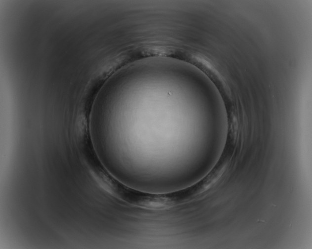 X0000088380459200705221057
