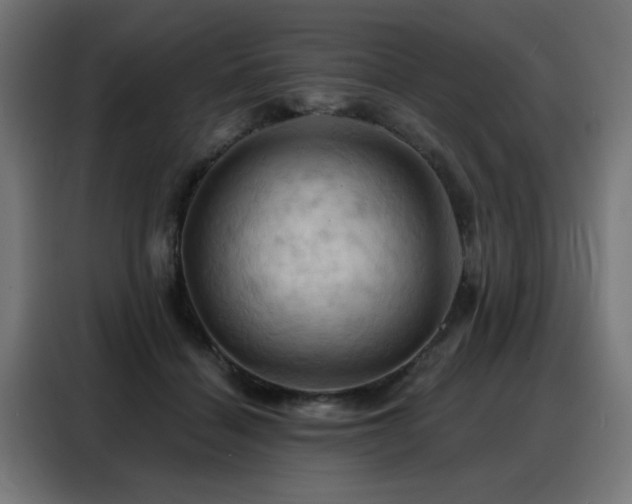 X0000088380460200705221057