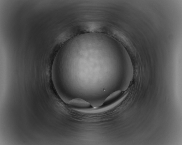 X0000088380461200705221057