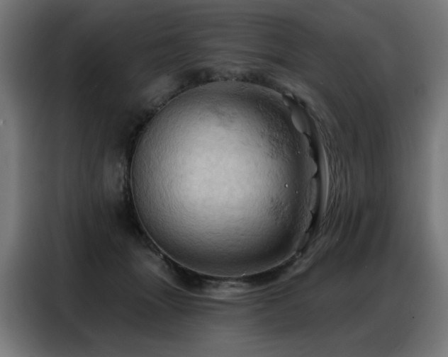 X0000088380463200705221057