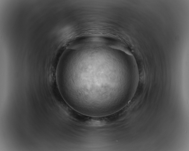 X0000088380464200705221057