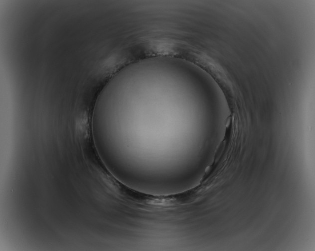 X0000088380465200705221057