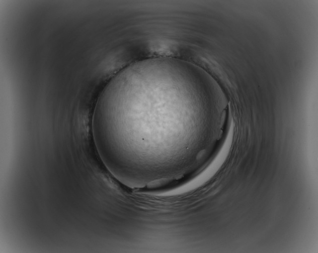 X0000088380466200705221057