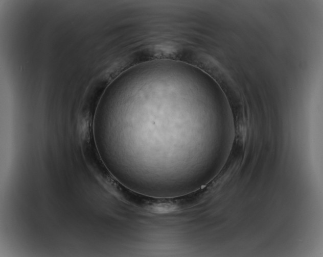 X0000088380468200705221057
