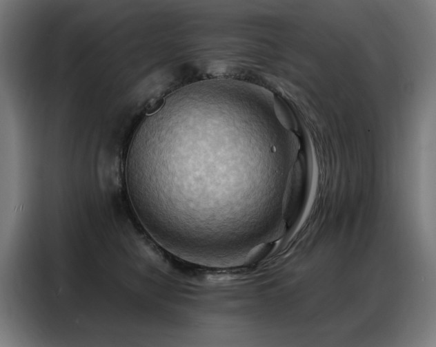 X0000088380470200705221057