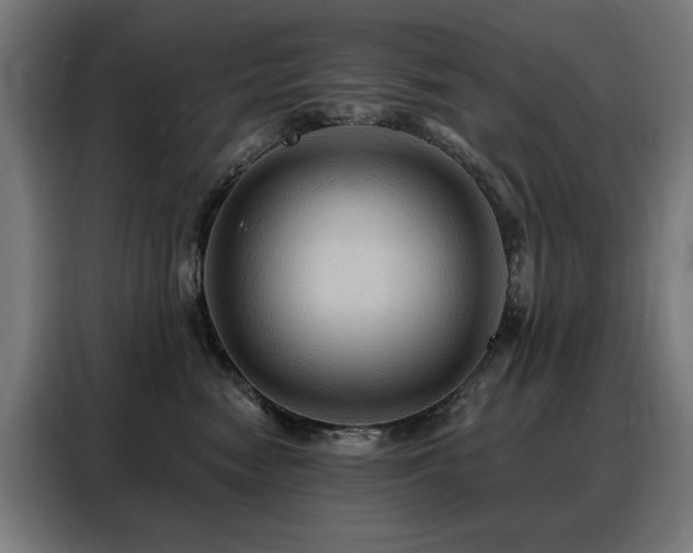 X0000088380474200705221057