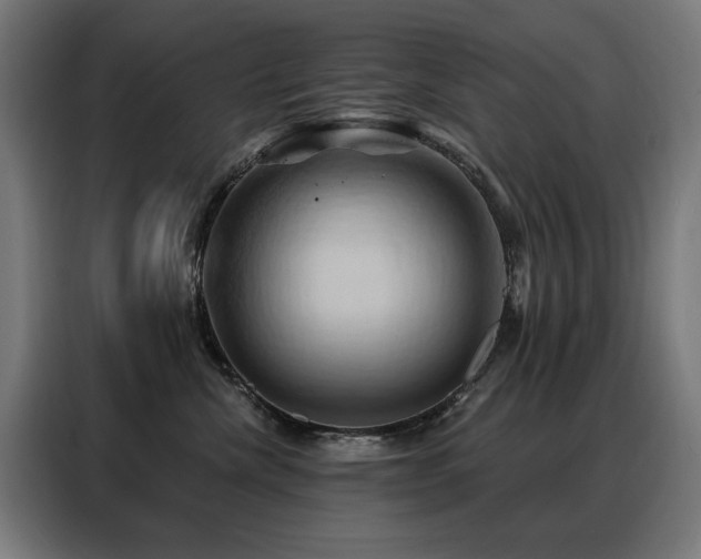 X0000088380476200705221057
