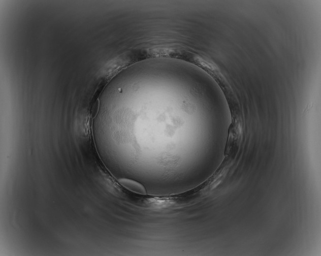 X0000088380477200705221057