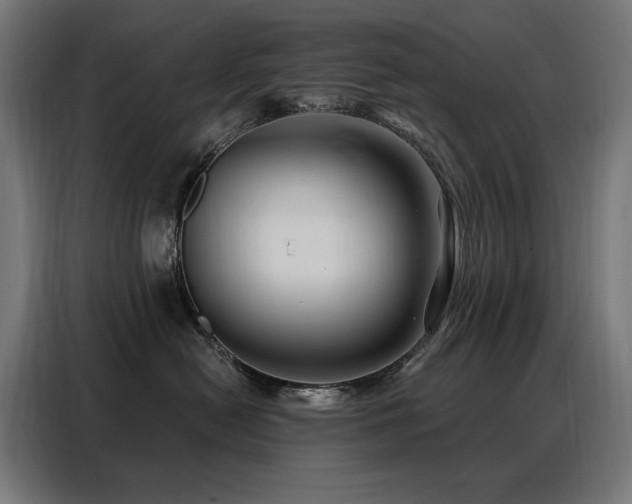 X0000088380478200705221057