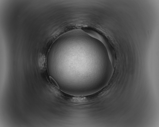 X0000088380480200705221057