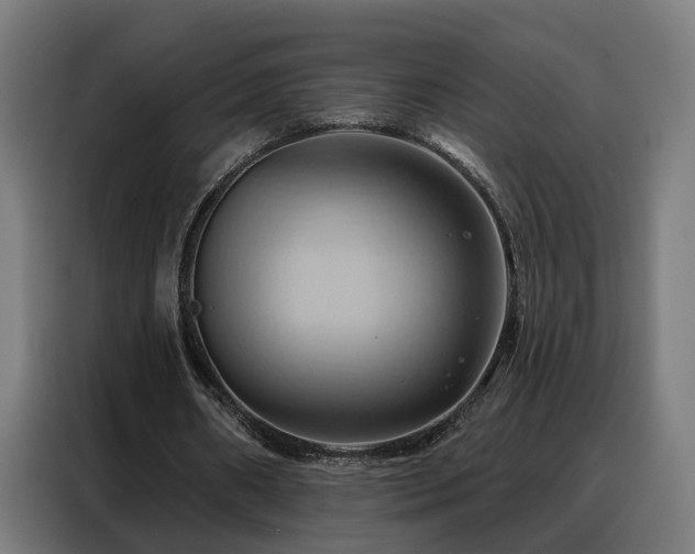 X0000088380482200705221056