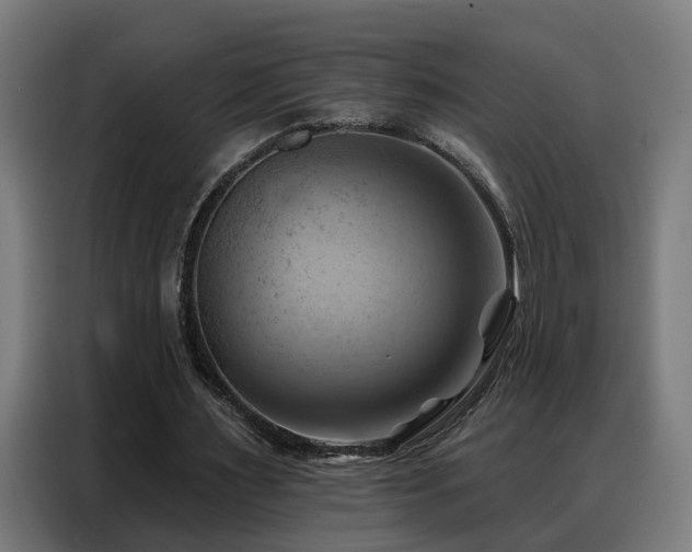 X0000088380483200705221056