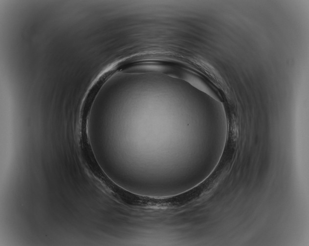 X0000088380484200705221056