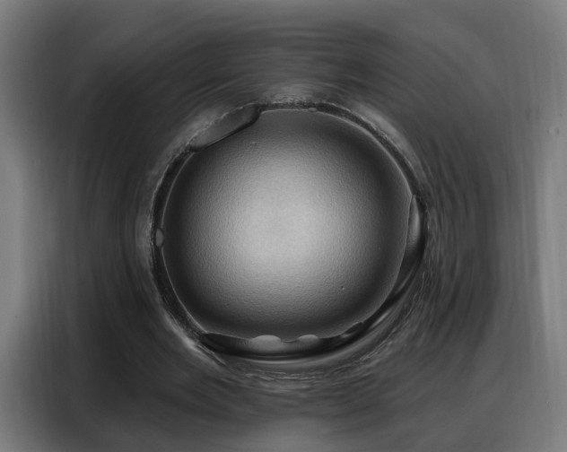 X0000088380485200705221056