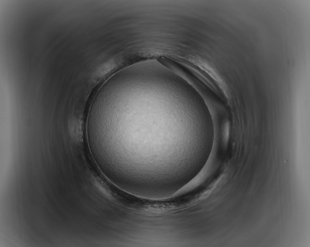 X0000088380489200705221056