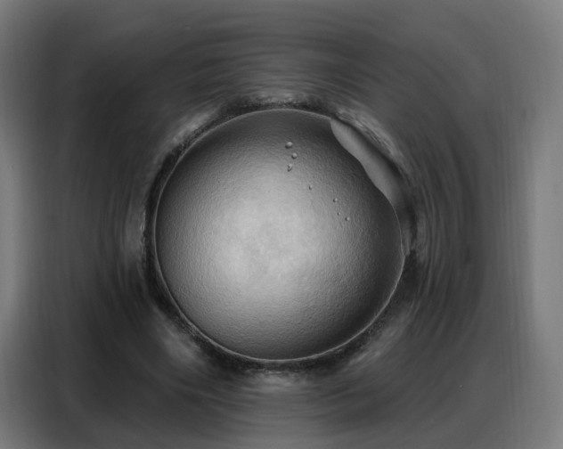 X0000088380490200705221056