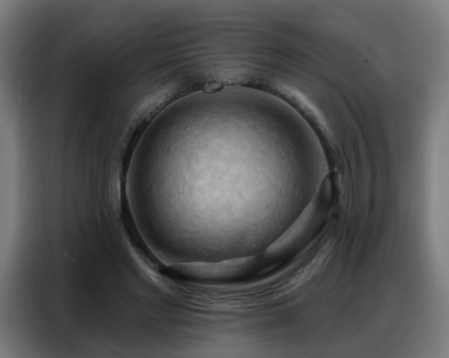 X0000088380493200705221056