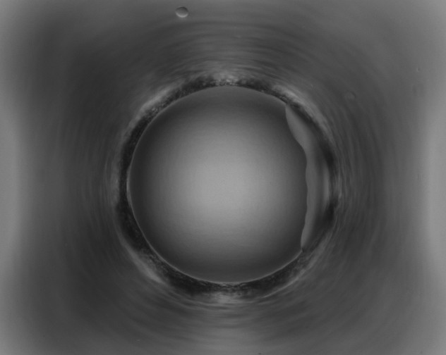 X0000088380496200705221056