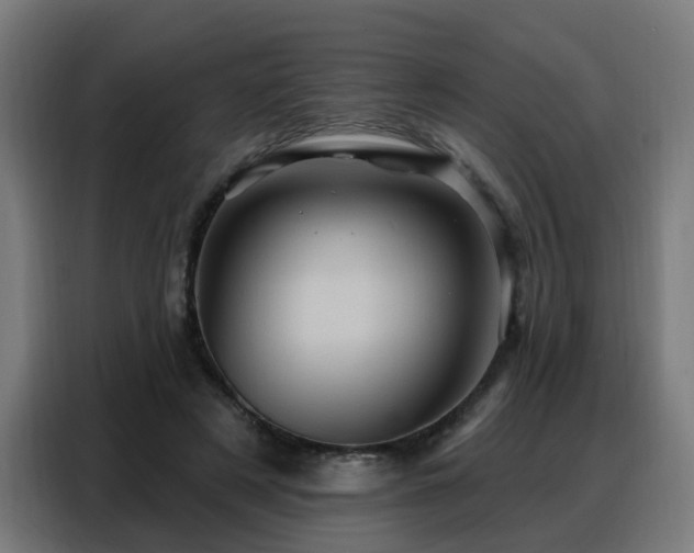 X0000088380497200705221056
