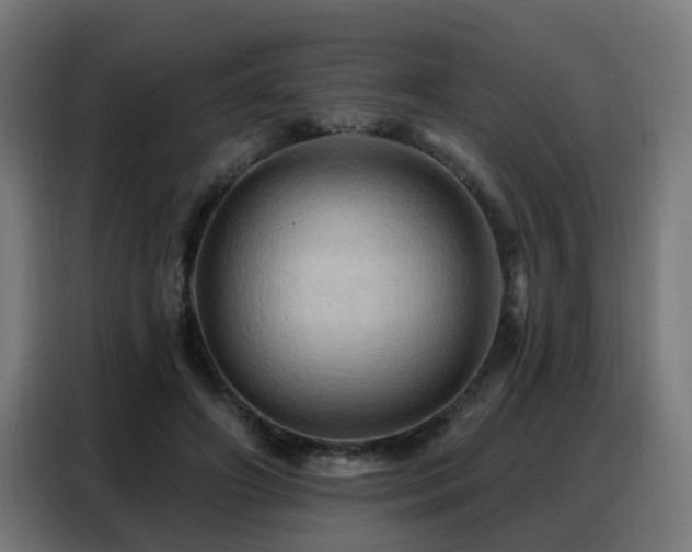 X0000088380498200705221056