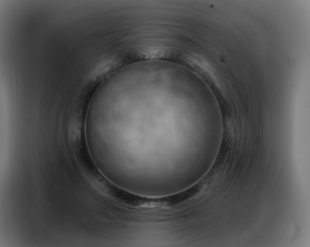 X0000088380499200705221056