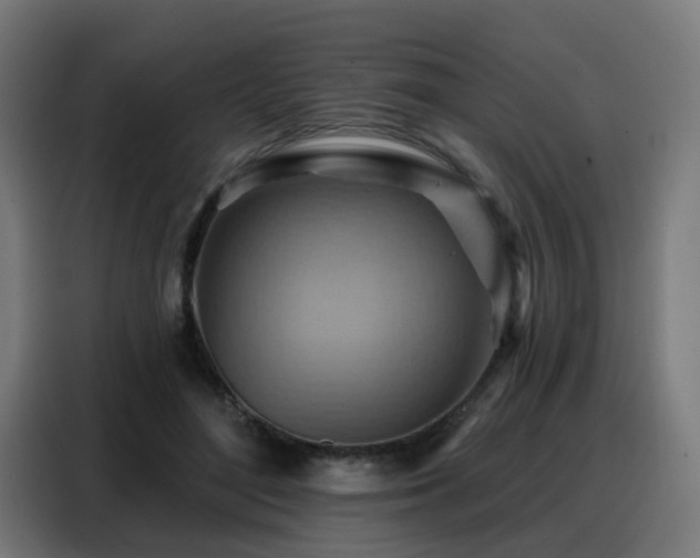 X0000088380500200705221056