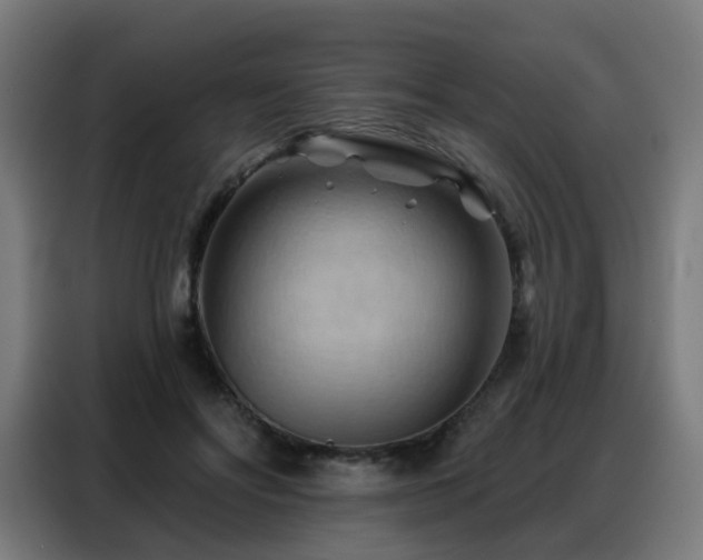 X0000088380502200705221056