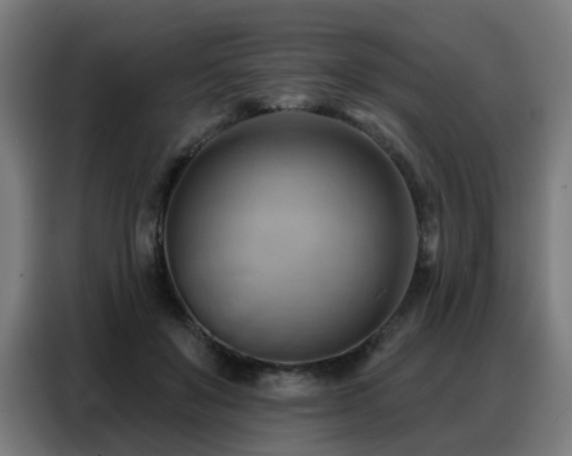 X0000088380503200705221056